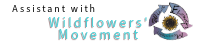 Assisting Wildflowers' Movement since 2008ish